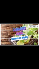 Los mejores lugares para tomar un mojito en la CDMX | ActitudFem