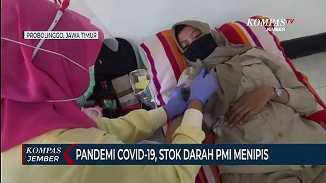 Stok Darah Terbatas, PMI Gelar Donor Darah Massal