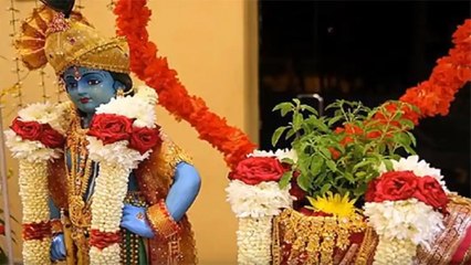 Tulsi Vivah 2020 : तुलसी विवाह विधि । तुलसी विवाह की पूजन विधि । Tulsi Vivah ki Vidhi । Boldsky