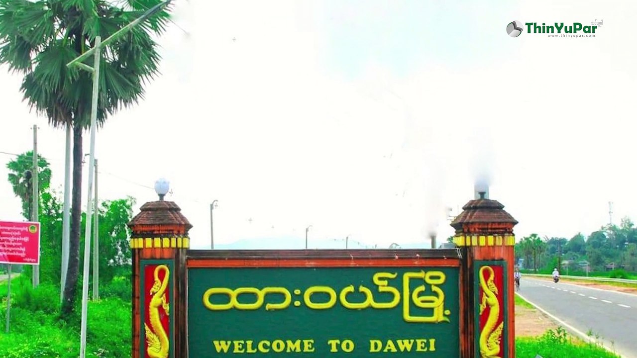 ထန်းပင် နဲ့ ပတ်သက်တဲ့ စိတ်ဝင်စားဖွယ် အချက်များ | ThinYuPar