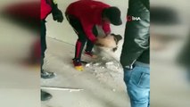 İki duvar arasında sıkışan köpek, duvar kırılarak kurtarıldı