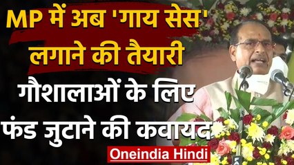 Cow Cabinet के बाद अब Madhya Pradesh में गौशालाओं के लिए 'Cow Cess' लगाने की तैयारी | वनइंडिया हिंदी
