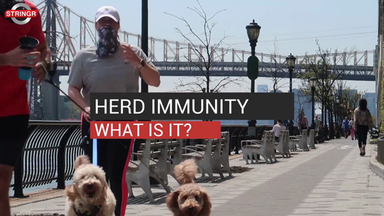 Herd Immunity What Is it?