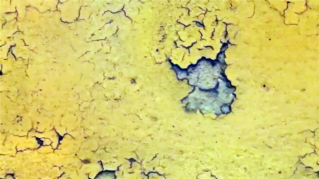 Teaser de Faites entrer l'accusé