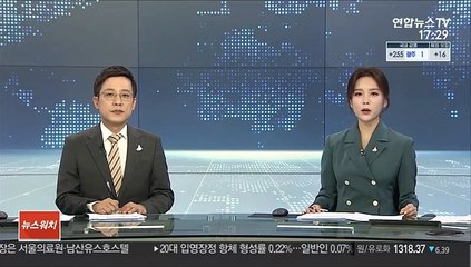 입양 2시간 만에 진돗개 모녀 도살…70대 구속