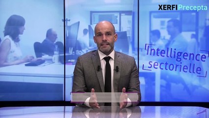 Les ripostes des acteurs de l'expertise comptable et de l'audit pour affronter l'après-crise [Philippe Gattet]