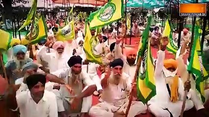 ਆਹ ਸਰਦਾਰ ਨੇ ਮਾਂਜਤਾ ਮੋਦੀ, ਦਿੱਲੀ ਵਾਲਿਆਂ ਨੂੰ ਲੱਗਣਗੇ ਜਲਾਬ