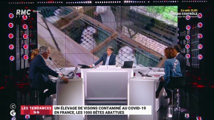 Les tendances GG: Un élevage de visons contaminé au Covid-19 en France – 23/11
