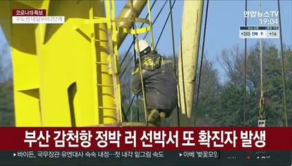 下载视频: 부산항 러 선박서 또 6명 확진…누적 200명 넘어