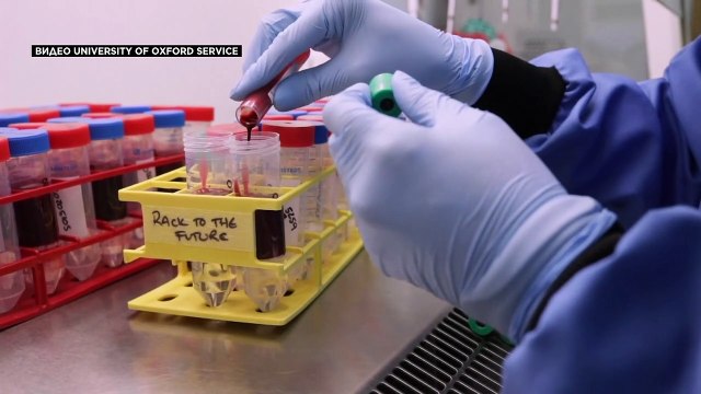 Вакцина AstraZeneca/Oxford против COVID-19 эффективна на 70%