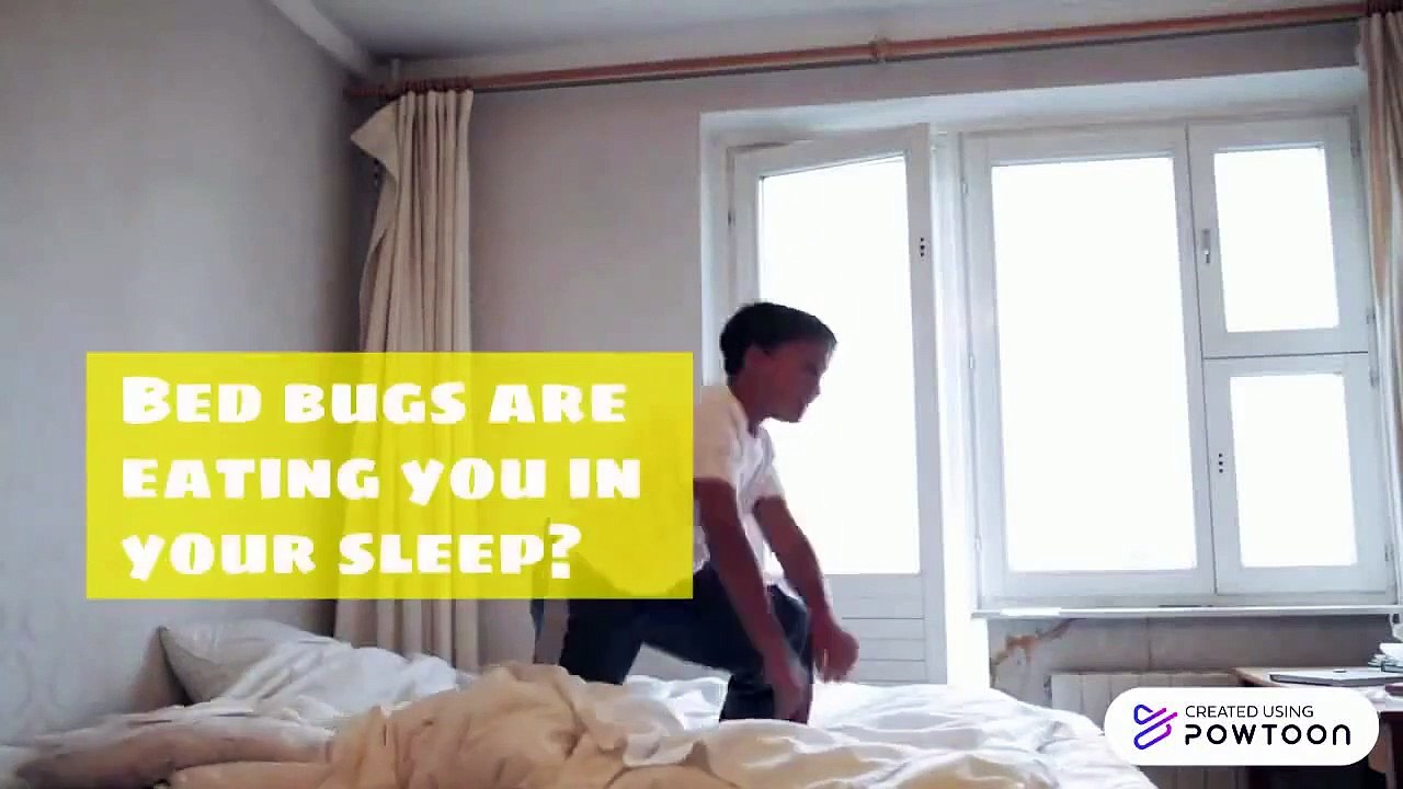 Fantastic Pest Control Australia