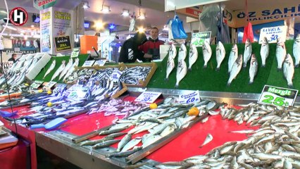 BALIK SEZONU BEREKETLİ GEÇİYOR