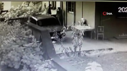 Fındık hırsızları kamerada