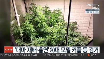 下载视频: '대마 재배·흡연' 20대 모델 커플 등 검거