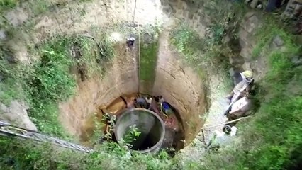 Inde : sauvetage d'un éléphant tombé dans un puits