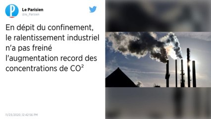 Concentration record de CO2 en dépit du confinement lié au Covid-19