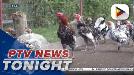 DA issues temporary ban on importation of wild bird, poultry products from UK, Japan