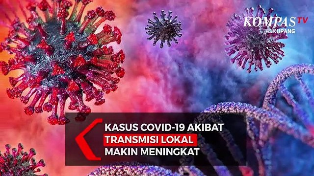 Update Corona NTT (Senin, 23/11): Tambah 24, Kasus Covid-19 Akibat Transmisi Lokal Kian Meningkat