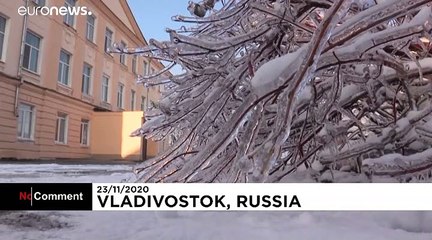 Vladivostok left draped in ice after freak storms