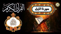 92 القرآن الكريم المجود - سورة الليل كاملة مكية عدد الآيات: ٢١ بصوت القارئ الإيراني كريم منصوري