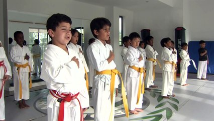 Iron Mantis Martial Arts Academy