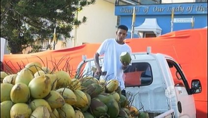 Prestige 2019 - February 13, 2019