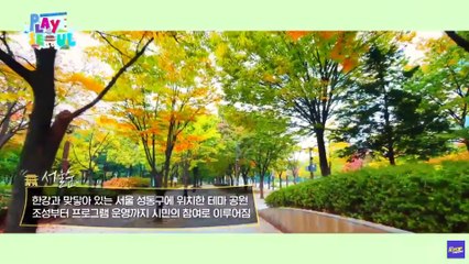 [TÜRKÇE ALTYAZILI]  Stray Kids x Healing Tour / PLAY SEOUL