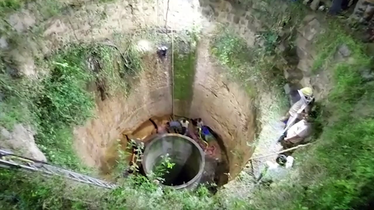 Elefant aus 20 Meter tiefem Brunnen gerettet