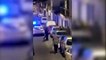 Paliza de los gitanos a dos policías en Alhaurín de la Torre (Málaga)