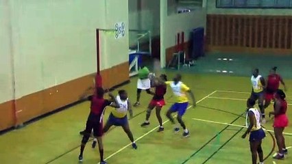 Courts All Sectors Netball