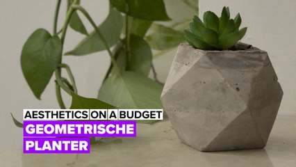 Industrieel decor: geometrische cementplanter