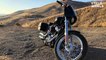 2020 Harley-Davidson Softail Standard Review, Part 2