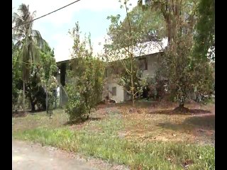 Accusations of Caroni Land Grabbing