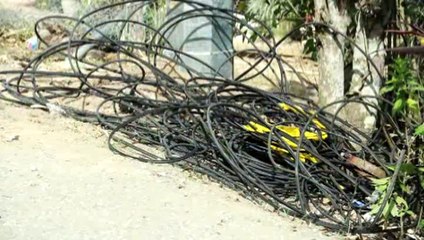 Unruly Soilders In Morgua