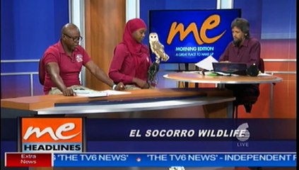 El Socorro Wildlife - 05/14/2019
