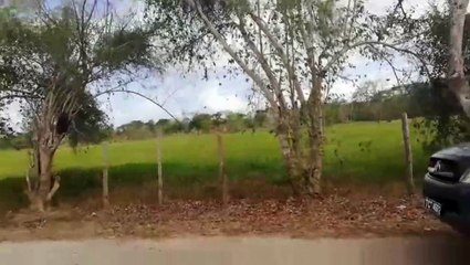 Search underway in Las Lomas for two remaining escapees