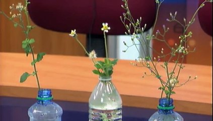 Headlines With Fazeer Mohammed