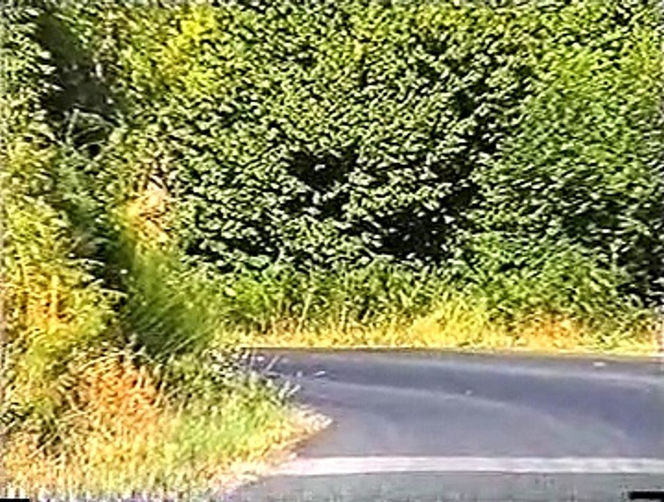 Rallye de la Fourme 2003