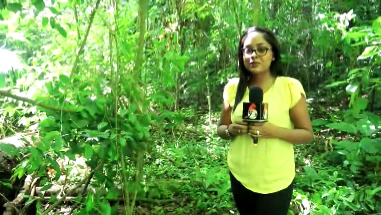 Missing Woman Found Dead in Mayaro