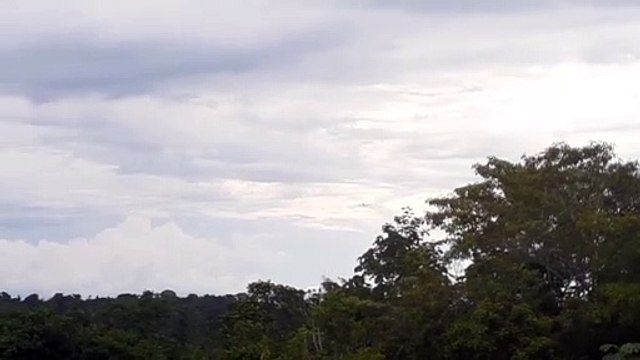 Airbus A320 PR-MHK na aproximação final antes de pousar em Manaus vindo de Guarulhos