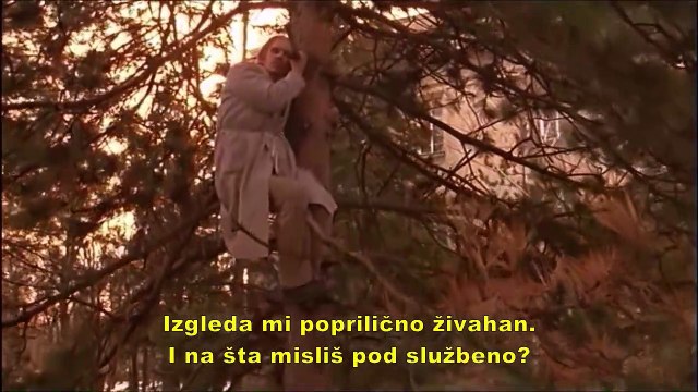 Underground(1995)