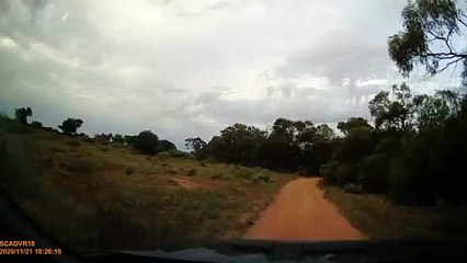 Crossing Kangaroo Clips Windshield