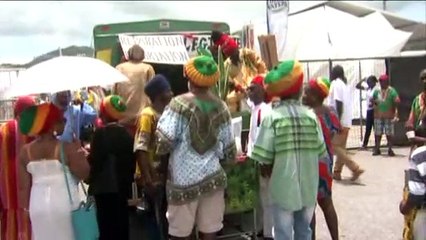 Ethiopian Black International Congress: Send Us To Africa