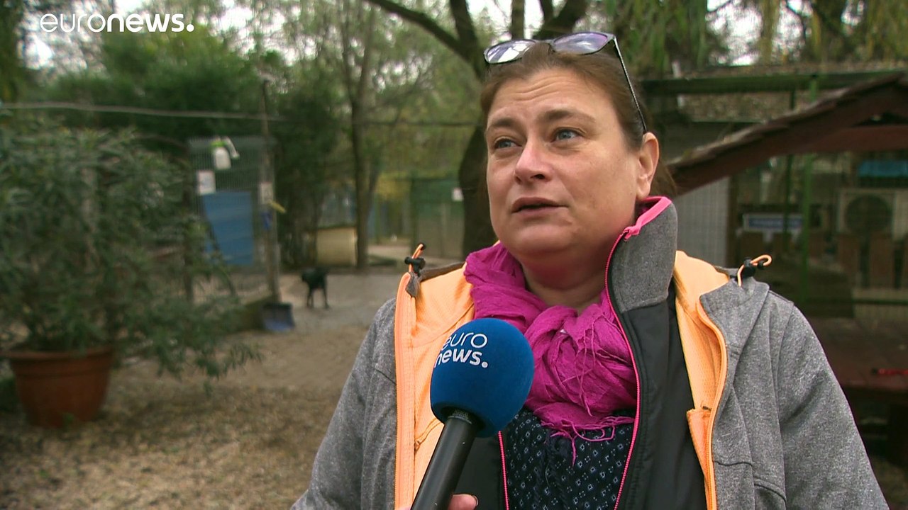 Mit Hund: Ausgangssperre austricksen