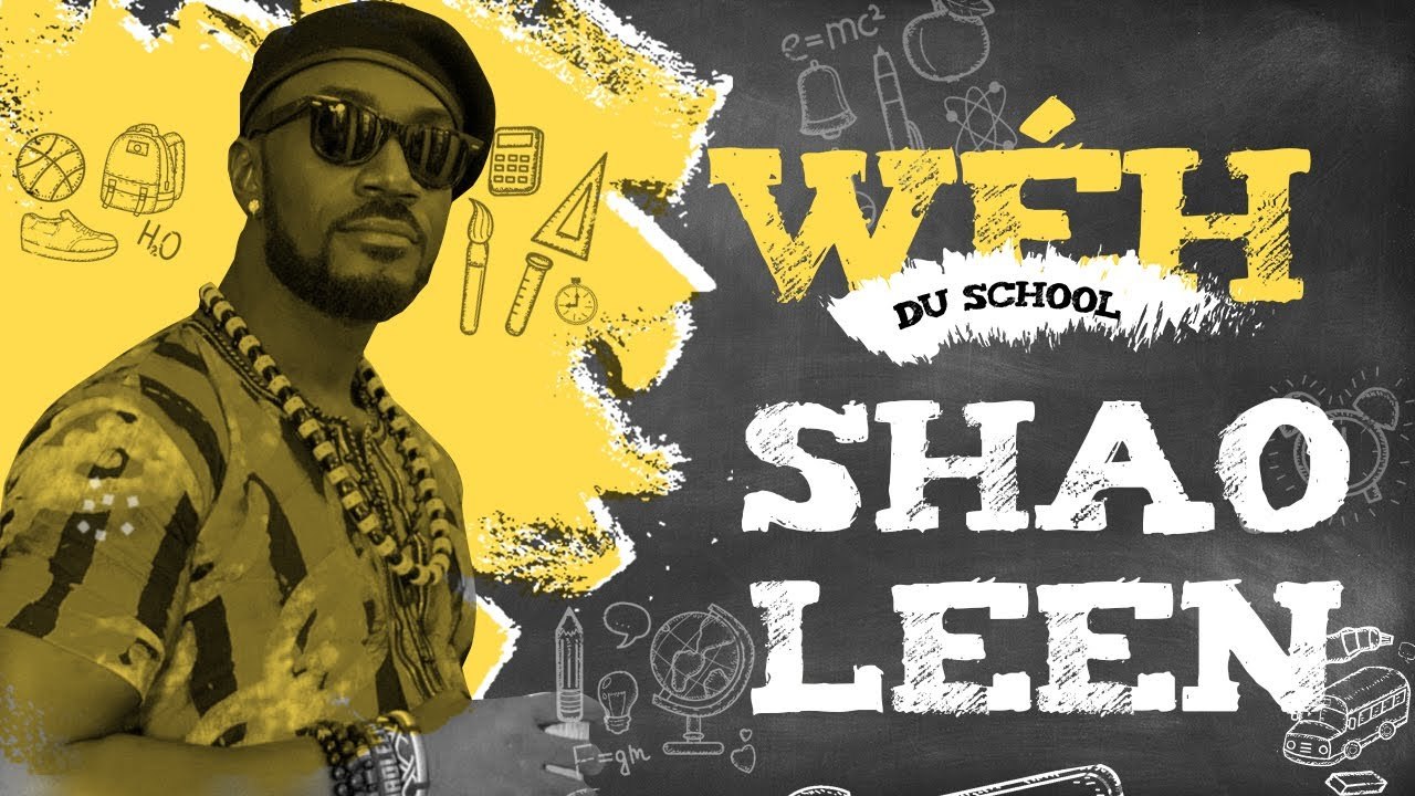 J'AI PAS EU DE MEILLEUR POTE DURANT MON PARCOURS SCOLAIRE - SHAOLEEN