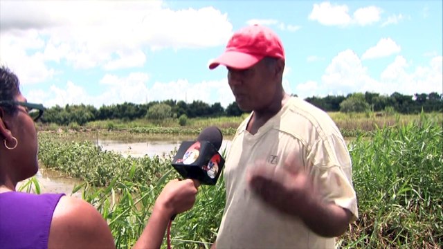 Aranguez Farmers Affected By Floods