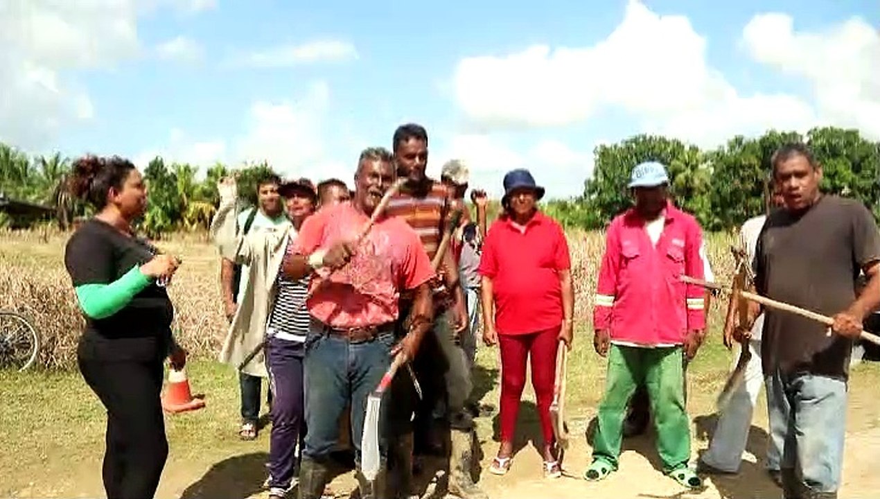 Forestry Workers Working Three Months No Pay