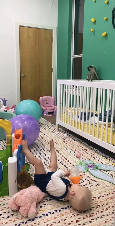 Bobo the Monkey Bouncing on Bouncy Balls