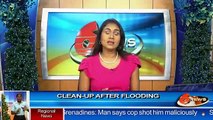 Cleaning up after flooding