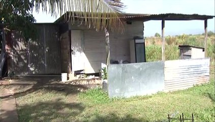 Murder Suicide in Kelly Village